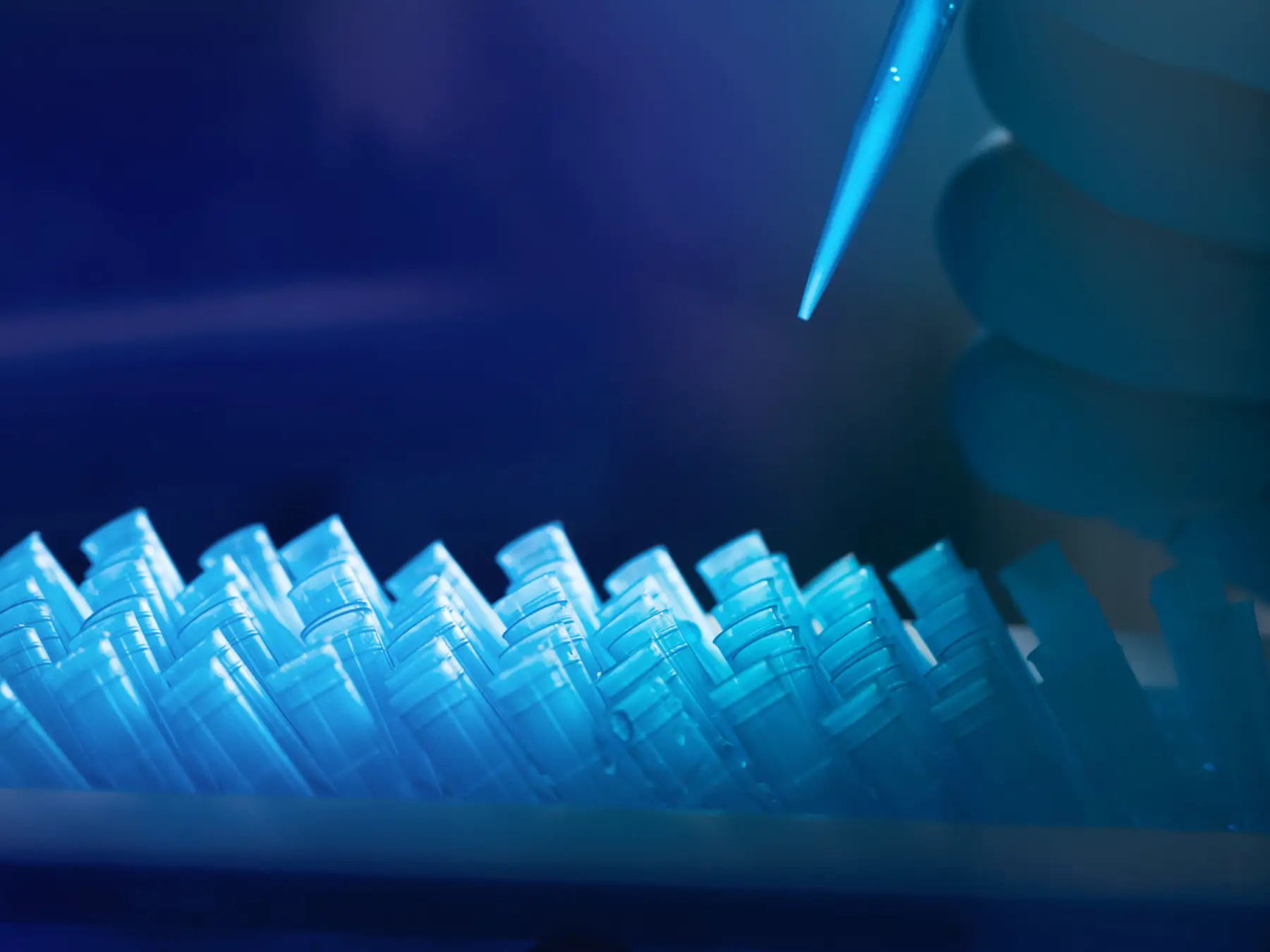 Leveraging Independent Lab Networks to Reduce Member Costs and Improve ...